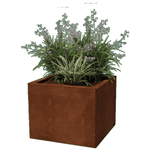 Corten plantenbak Vierkant