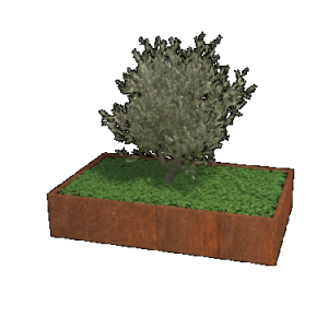 Cortenstaal plantenbak Rechthoek