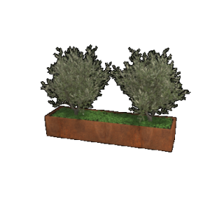 Cortenstaal plantenbak Rechthoek