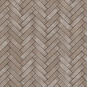 Gebakken Triton getrommeld Bruin