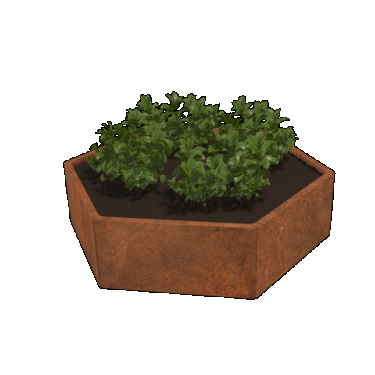 Cortenstaal plantenbak Zeshoek 100 x 100 cm