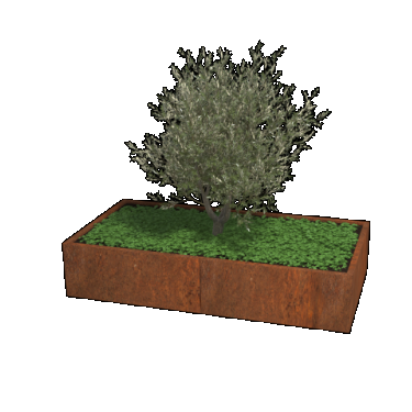 Cortenstaal plantenbak Rechthoek xxl 200 x 100 x 40 cm geen bodemplaat