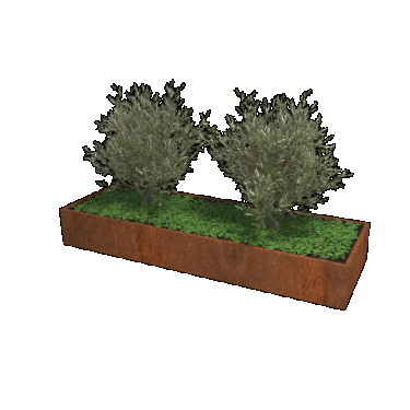 Cortenstaal plantenbak Rechthoek xxl 300 x 100 x 40 cm geen bodemplaat
