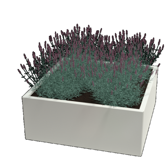 Gepoedercoat staal plantenbak Vierkant 100 x 100 x 30 cm geen bodemplaat Wit
