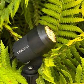 LightPro Honeycomb Juno