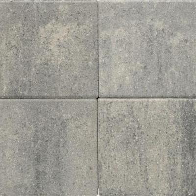 Terras+ Steen 20x30x4 cm Grezzo
