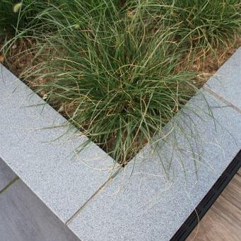 Vijverrand 100x15x3 cm Dark Grey (6 zijdes verzoet, 8 facetranden)