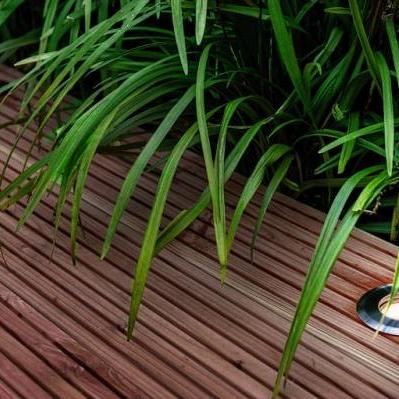 Lightpro Onyx 60 R1 (Uitlopend)