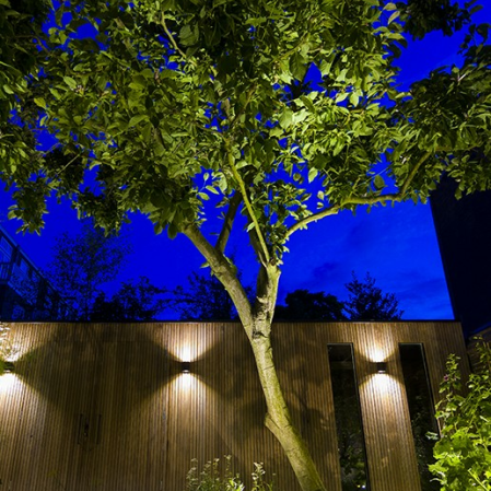 Inlite Big Scope Narrow