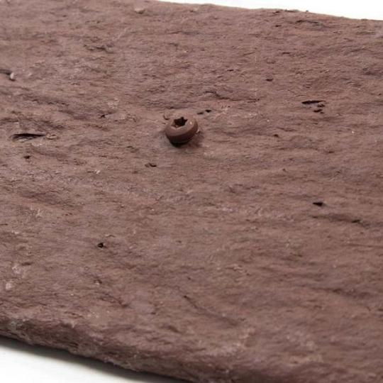 Multi-edge ECO RVS schroeven 100 stuks Corten