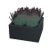 Gepoedercoat staal plantenbak Vierkant 120 x 120 x 80 cm met bodemplaat Antraciet