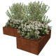Cortenstaal plantenbak L-vorm 30 x 30 cm geen bodemplaat