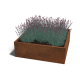 Cortenstaal plantenbak Vierkant 120 x 120 x 40 cm geen bodemplaat