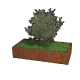 Cortenstaal plantenbak Rechthoek xxl 200 x 100 x 40 cm geen bodemplaat
