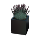 Gepoedercoat staal plantenbak Vierkant 40 x 40 x 40 cm geen bodemplaat  Zwart