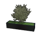 Gepoedercoat staal plantenbak Rechthoek xxl 200 x 50 x 80 cm met bodemplaat  Zwart
